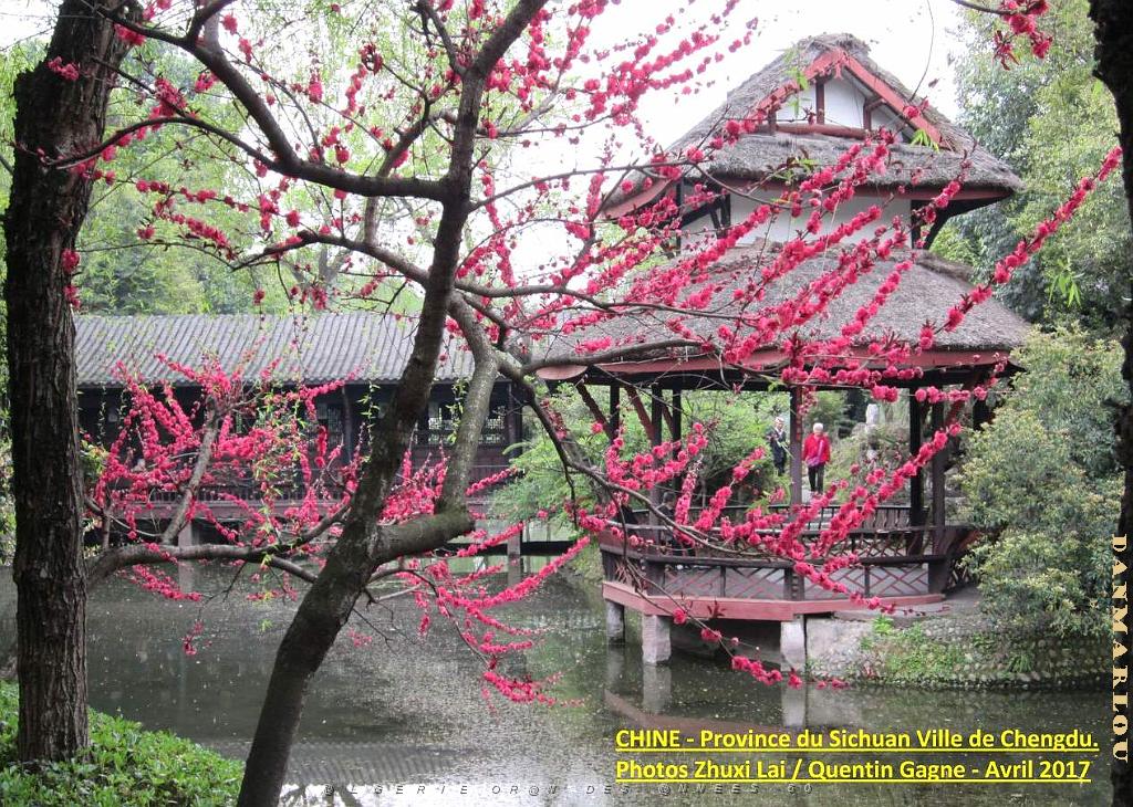 Chengdu avril 2017 - 024.JPG